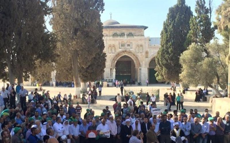 اقتحام الأقصى من بابي المغاربة والسلسلة