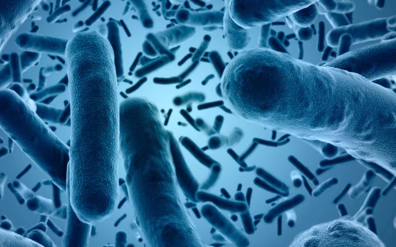 الصحة تتخذ إجراءات منعاً لانتقال الكوليرا للأردن