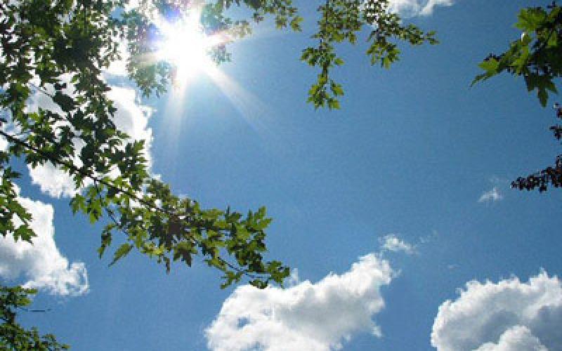 طقس معتدل والعظمى في عمان 31