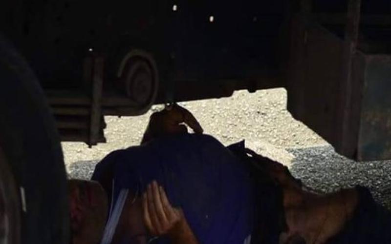 مقتل مستوطن في الفوار جنوبيّ الخليل