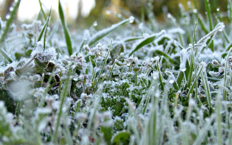 أجواء باردة نهاراً وانجماد ليلاً