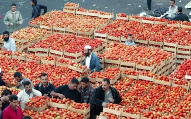 الصقيع يرفع أسعار الخضار والفواكه