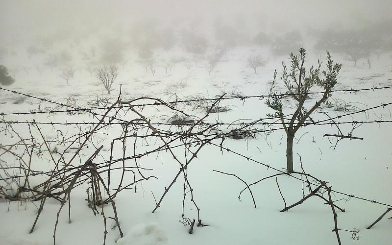 أجواء باردة وثلوج فوق المرتفعات