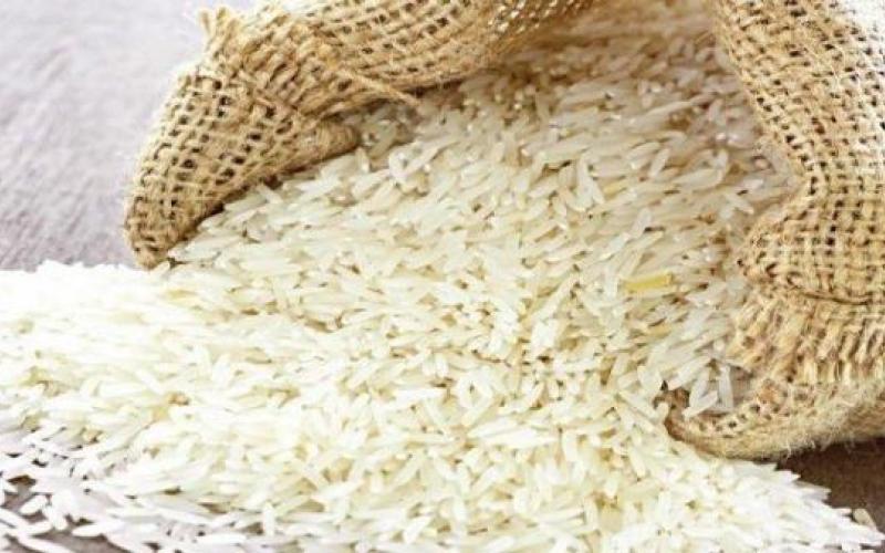 ضبط أرز يحتوي على ديدان في مأدبا