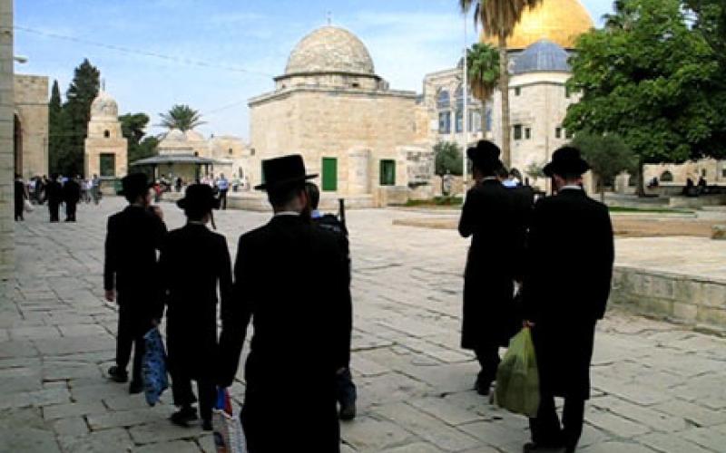 مستوطنون يقتحمون الأقصى من باب المغاربة