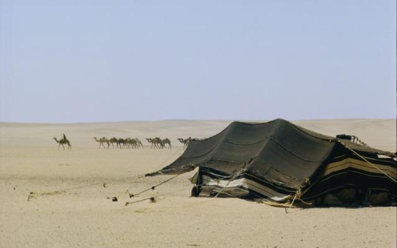 الجلوة العشائرية.. حين تزر وازرة وزر أخرى