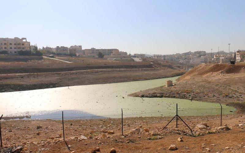 لجنة فنية لمعالجة الوضع البيئي لبركة البيبسي