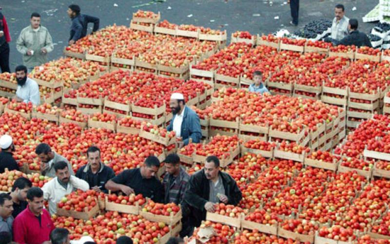 انخفاض ملموس على أسعار الخضار