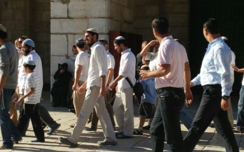 الأوقاف: صلوت تلموديّة في الأقصى