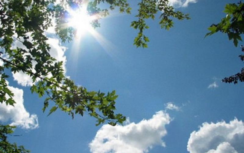 أجواء دافئة بمختلف مناطق المملكة