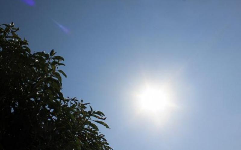 أجواء دافئة والحرارة في عمّان 27