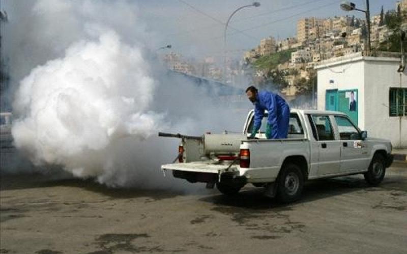 الأمانة تبدأ حملة مكافحة الحشرات