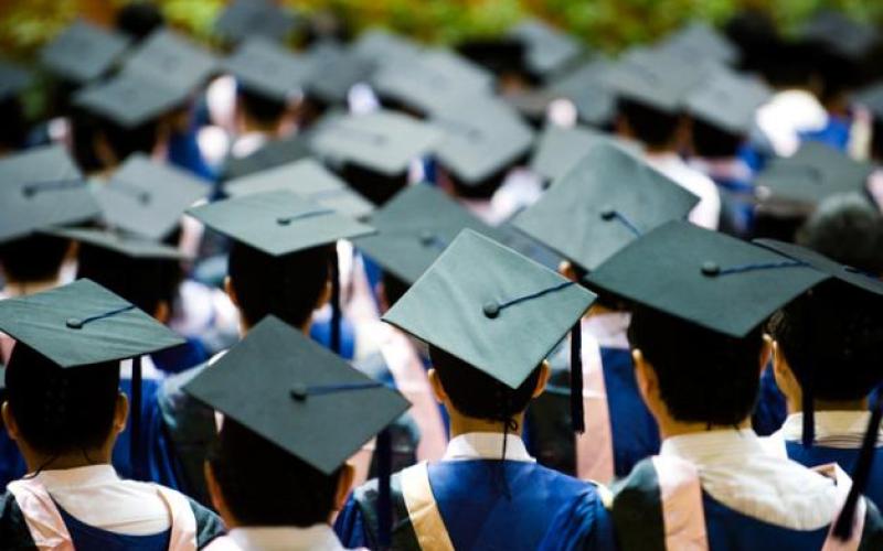 الخريجون وسوق العمل.. فجوة الفرص والتخصص