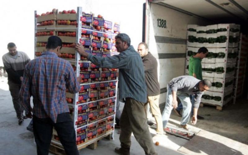 الأردن يصدر نحو 3.5 ألف طن خضار وفواكه للخليج خلال يومين