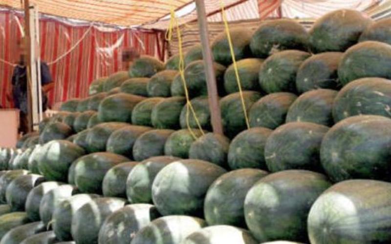 ارتفاعات طفيفة على أسعار الخضار... وترخيص 100 معرش بطيخ في عمان