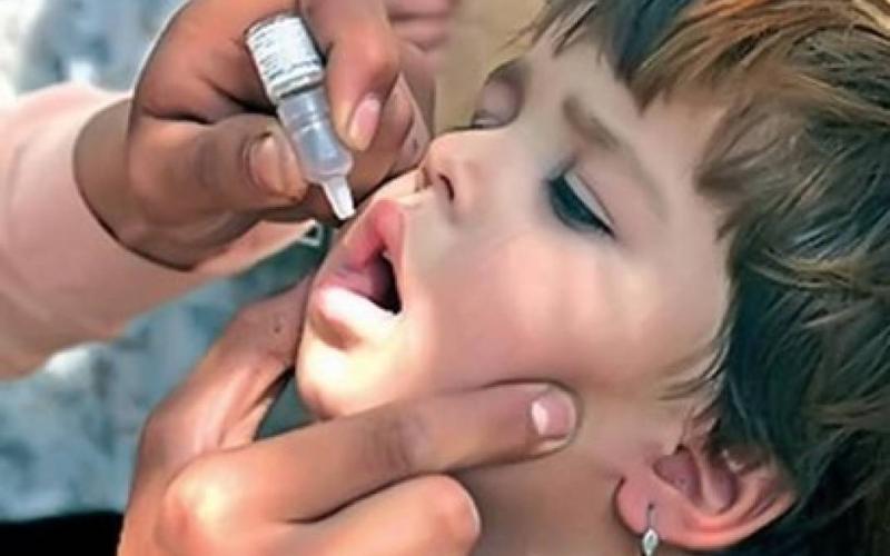 تطعيم ربع مليون طفل ضد شلل الاطفال في الزرقاء
