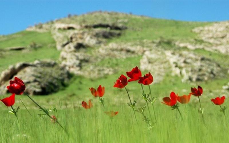 انخفاض على درجات الحرارة وأجواء ربيعية