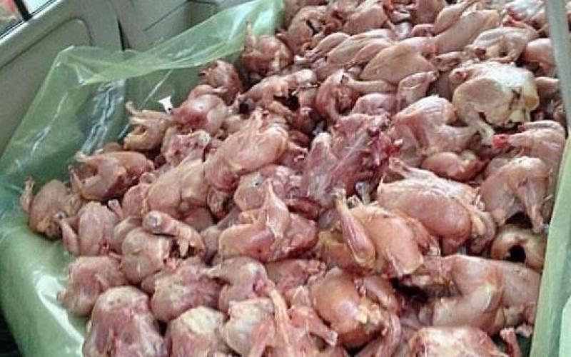 إتلاف 3 أطنان مواد غذائيّة غير صالحة للاستهلاك في إربد