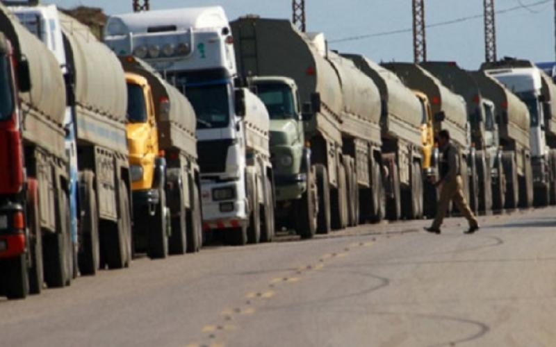 ارتفاع صادرات الأردن من الخضار لدول الخليج والعراق