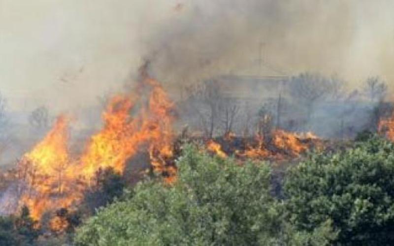 حريق 80 دونم مزارع في وادي الكرك