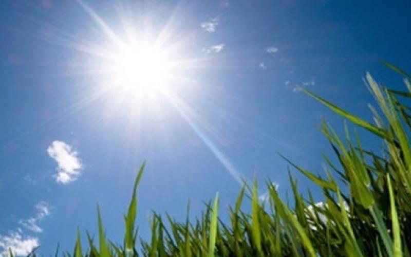 أجواء معتدلة إلى حارة نسبيا