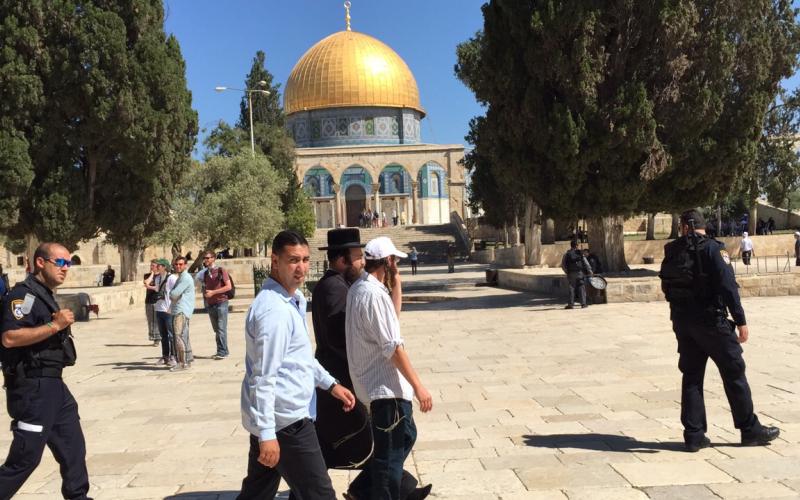  اقتحام المستوطنين للأقصى 