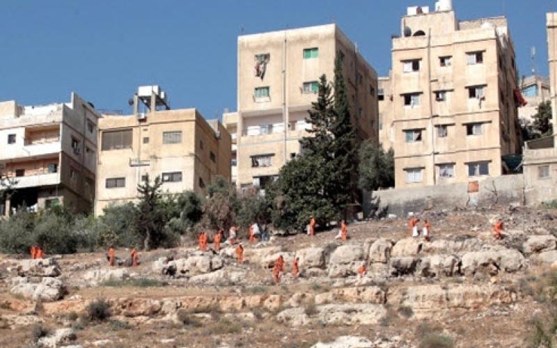 الأمانة تدعو المواطنين لعدم طرح النفايات على السفوح الجبلية