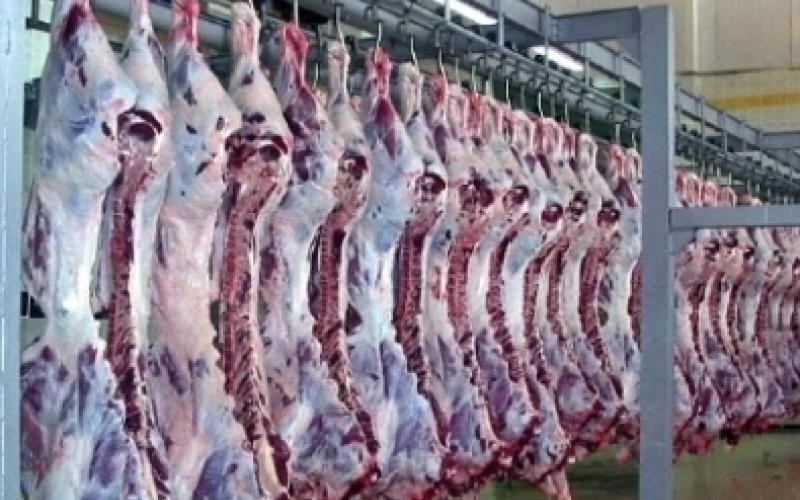 مسالخ الأمانة تعاين 353 طن لحوم خلال عطلة العيد‎