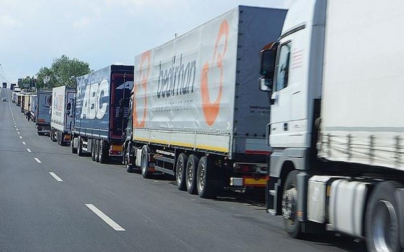 معدل صادرات الأردن من الخضار والفواكه للخليج بعد العيد نحو 3 آلاف طن