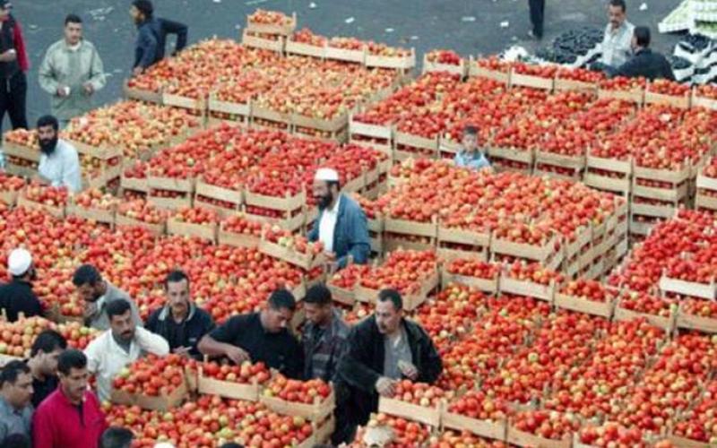 انخفاض سعر البندورة.. والكيلو بـ 70 قرشاً في "مركزي عمّان"