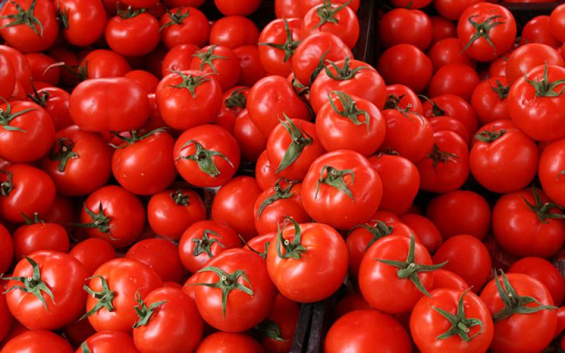 البندورة "المعلقة" بحدود الدينار واستقرار أسعار بعض الأصناف