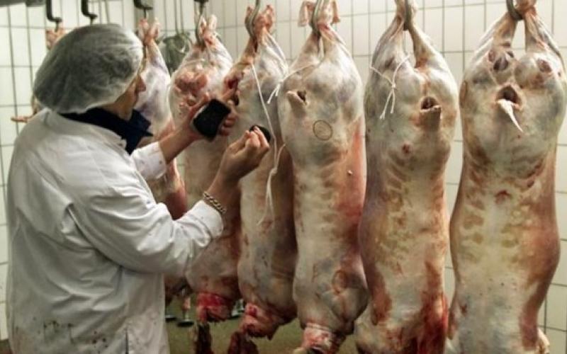 الزراعة: سنراقب على ذبح الأضاحي في العيد