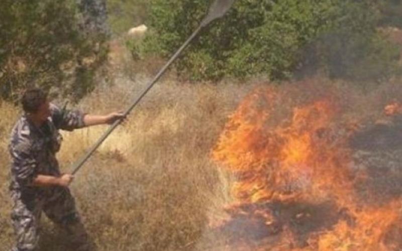 حريق أعشاب جافة وأشجار مثمرة في إربد