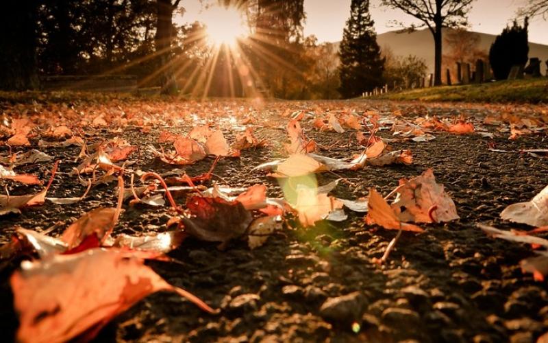 انخفاض على درجات الحرارة لهذا الأسبوع وأجواء خريفية