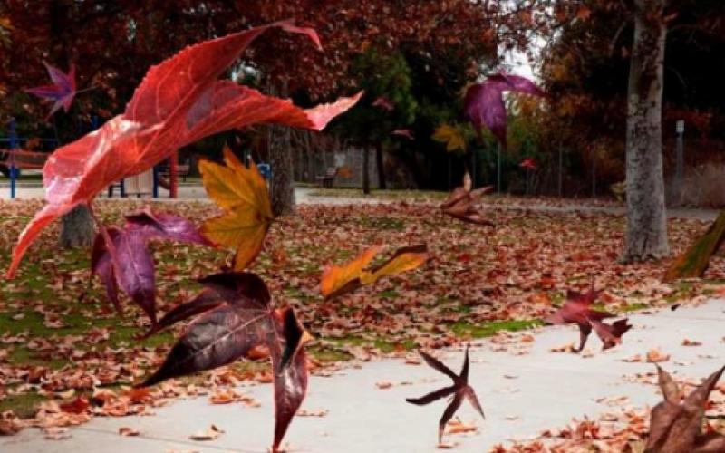 أجواء خريفيّة في المملكة وحارة في البحر الميت والعقبة