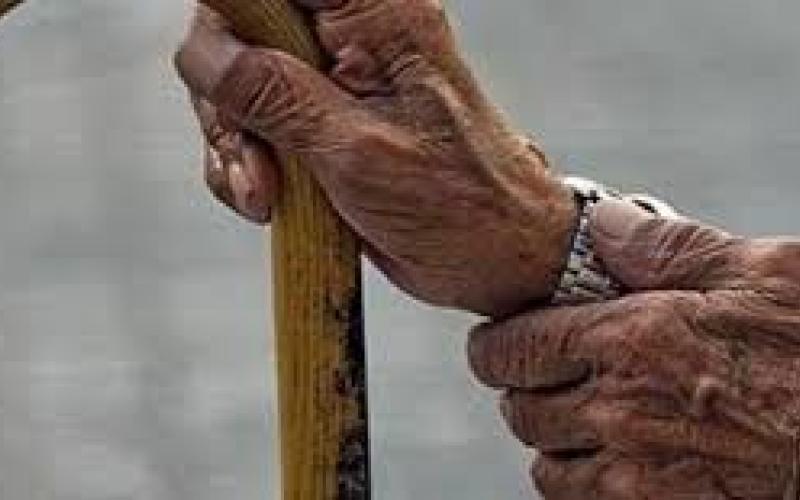 اعفاء الفرد المشترك بالتامين الصحي من الفئة العمرية 80 عاما