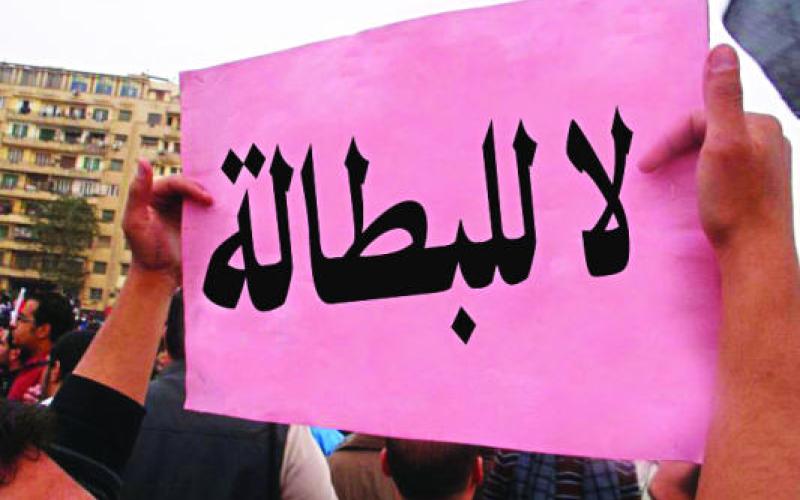 شباب من المفرق يناشدون للاهتمام بقضايا البطالة وتكافؤ الفرص