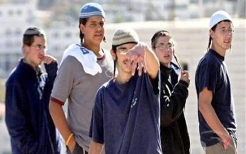 مستوطنون متطرفون ينصبون خياما بالأغوار الشمالية