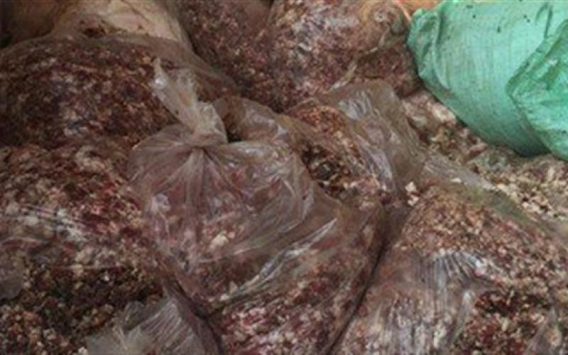 إتلاف طن ونصف من اللحوم الفاسدة بالطفيلة