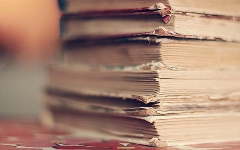 تقارير ديوان المحاسبة وغياب الفاعلية