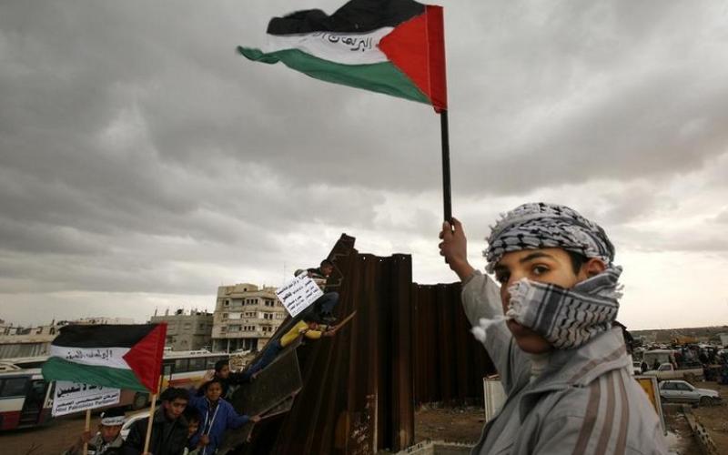 مولود كل عشر دقائق في قطاع غزة العام الماضي