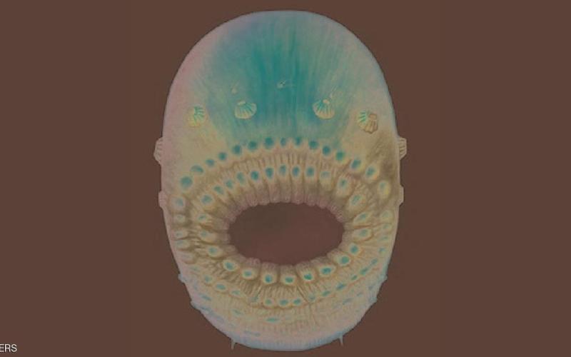 علماء: أقدم أسلاف الإنسان كان قبيحا وبفم ضخم