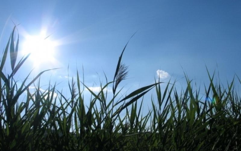 حالة من عدم الاستقرار الجوي حتى الخميس