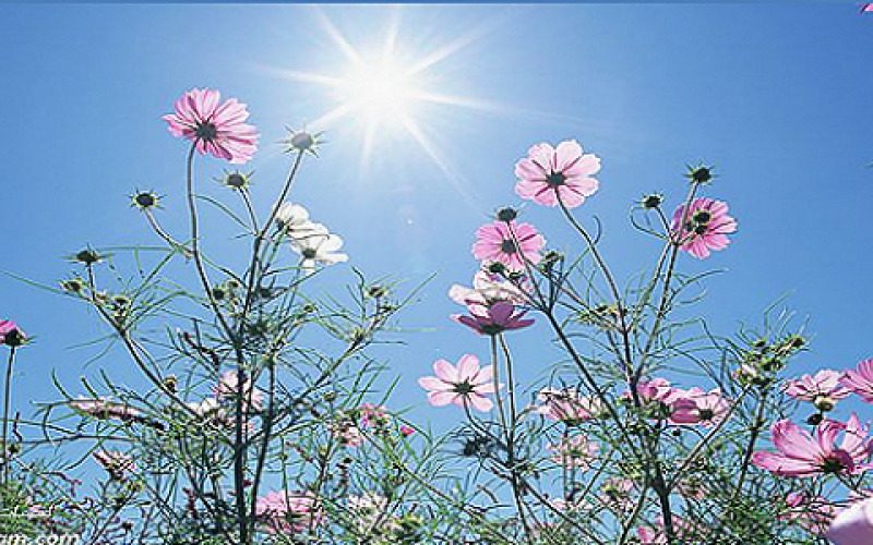 ارتفاع طفيف على الحرارة وأجواء ربيعية نهارا