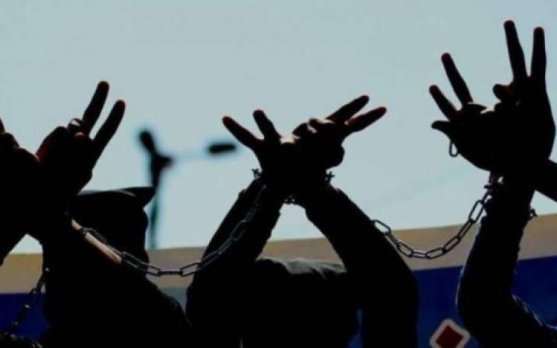 الأبعاد السياسية لإضراب "الحرية والكرامة"