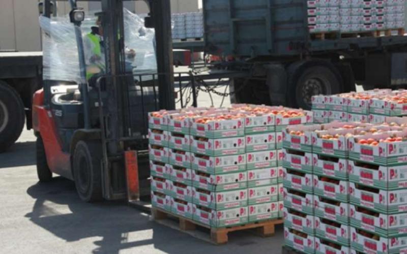 الزراعة تنفي إعادة أو إتلاف أي من الصادرات