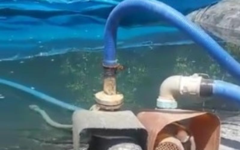 بيع مياه غير صالحة للشرب بوادي السير