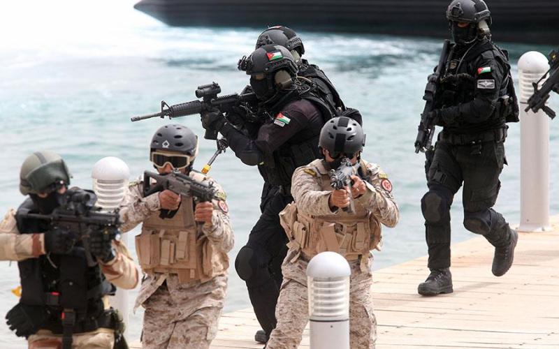 ما الذي يخيف الأسد.. من "الأسد المتأهب"؟