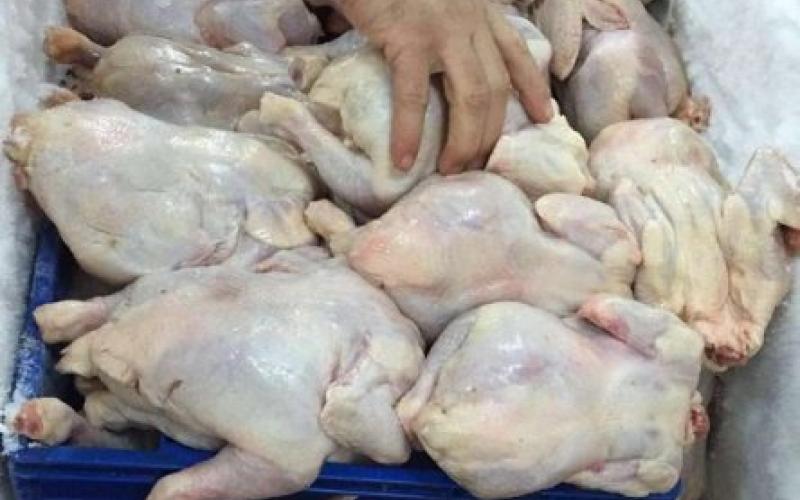 حماية المستهلك: "الدجاج الفاسد" جريمة منظمة