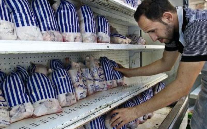 "الصناعة والتجارة" تحدد سقوفا سعرية للدجاج الطازج